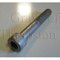 Caliper Bolt